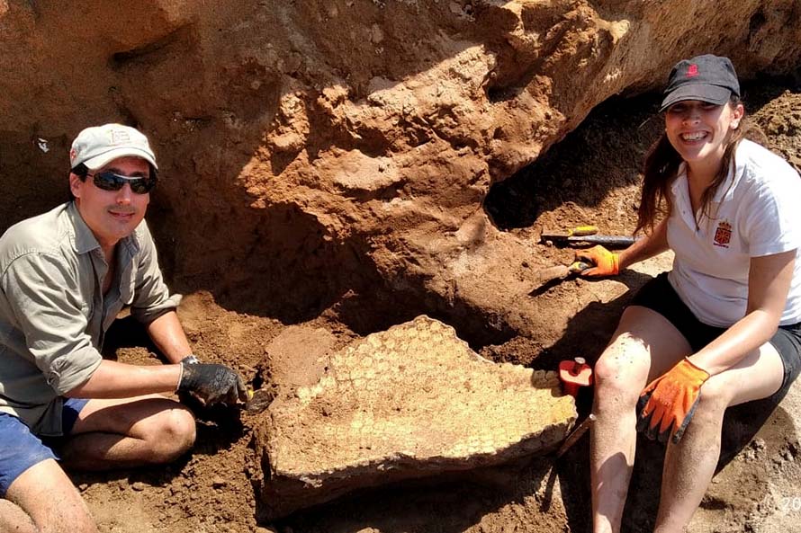 Un nuevo hallazgo paleontológico en los acantilados de Playa Redonda