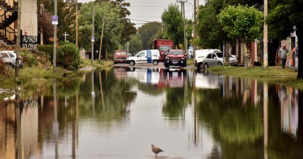 Temporal en Mar del Plata: cayeron 100 milímetros y se espera más lluvia