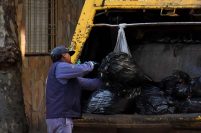 Recolección de basura: en un año aplicaron 394 multas por un total de $5 millones