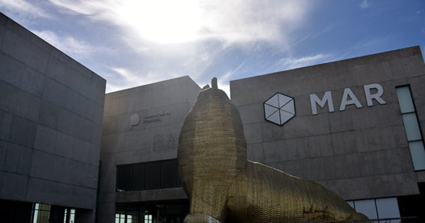 En vacaciones, el Museo MAR propone actividades virtuales y presenciales