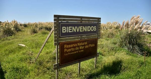 Tras las quejas, el Ministerio de Ambiente promete mejoras en la reserva del Puerto