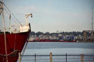 Puerto: por un conflicto en Chubut, empresas acusan un “gran perjuicio a la actividad”