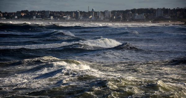 Pronóstico: rige un alerta meteorológico por fuertes vientos en Mar del Plata