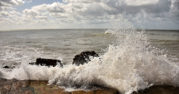 Emiten un alerta meteorológico por fuentes vientos en Mar del Plata