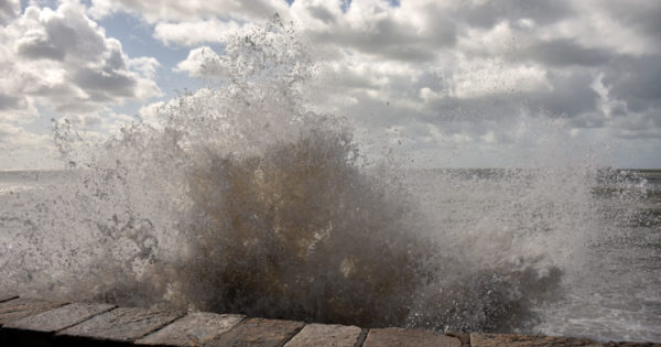 Alerta naranja por viento en Mar del Plata: las ráfagas podrían llegar a 100 km/h