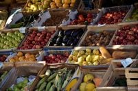Denuncian falencias en el control municipal de agroquímicos en frutas y verduras