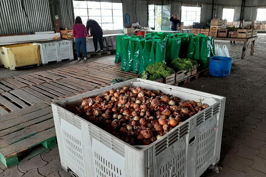 “Manos Solidarias”: unos 300 mil kilos de verdura entregados a comedores y clubes