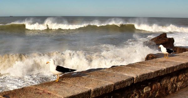 Advierten por una crecida del mar en Mar del Plata y otros puntos de la costa
