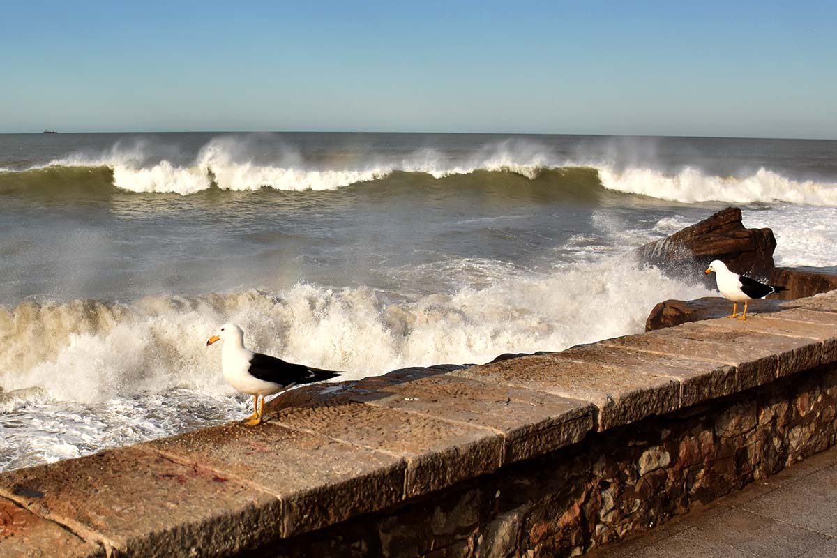 Advierten por una crecida del mar en Mar del Plata y otros puntos de la costa