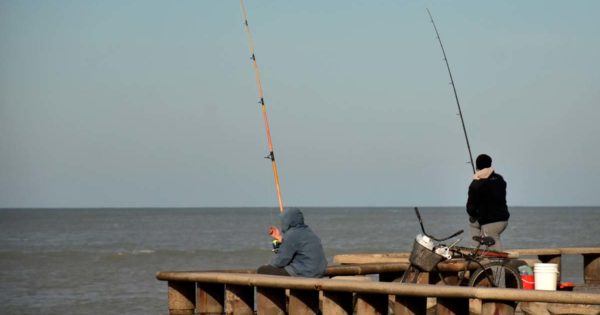 Pesca en Mar del Plata: piden ampliación de días y horarios para la actividad