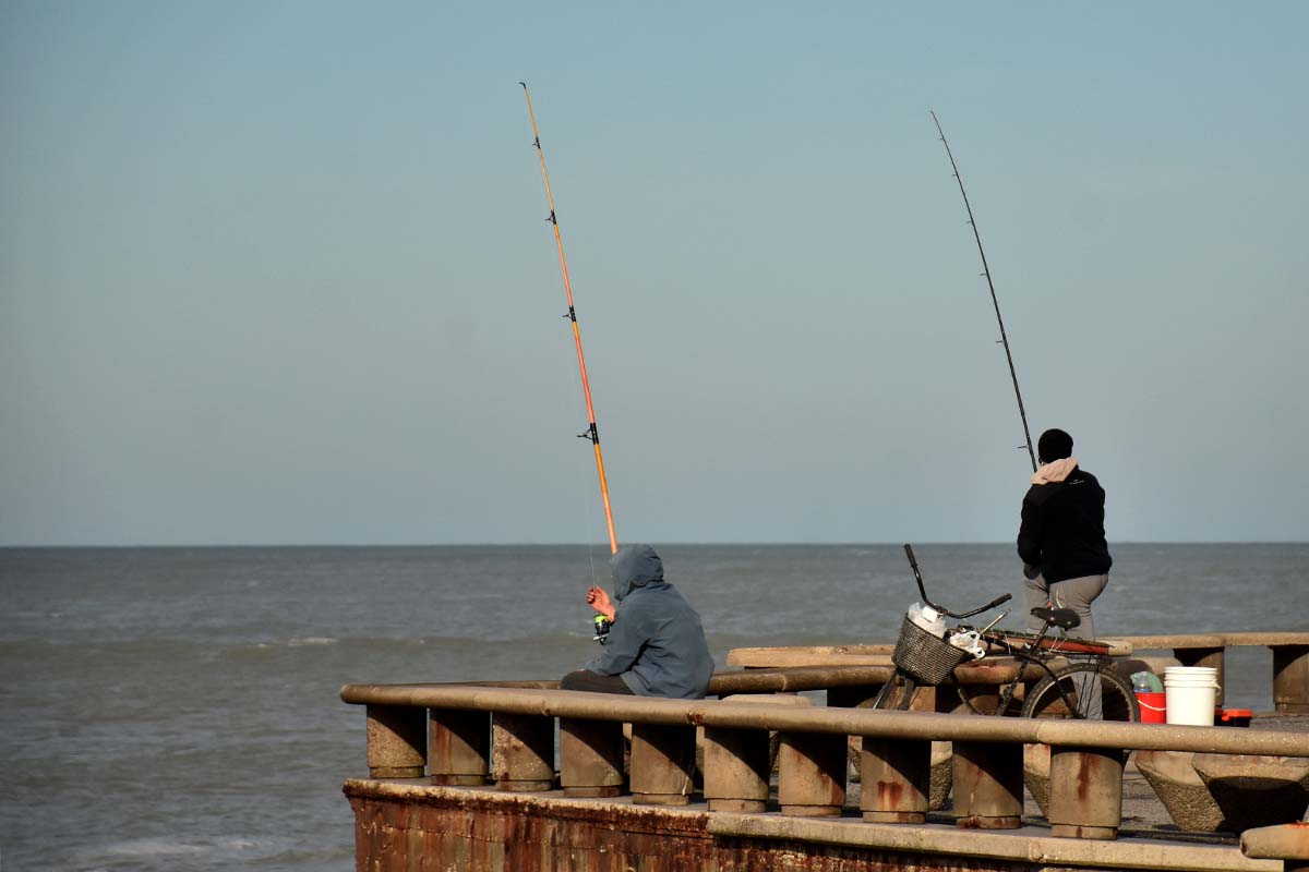 Pesca en Mar del Plata: piden ampliación de días y horarios para la actividad