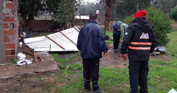 Techos volados y caída de postes y árboles: los daños del viento en Mar del Plata