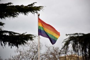 Buscan crear el “Día de la visibilidad de niñeces y adolescencias trans” en Mar del Plata