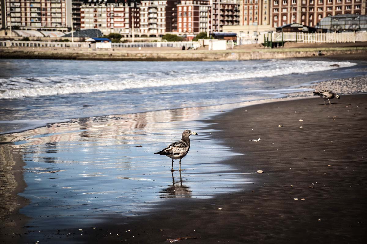 Sensación térmica de -6.9°C: cómo sigue el tiempo en Mar del Plata