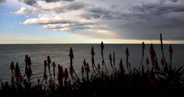 Pronóstico: inicio de semana con alerta meteorológico en Mar del Plata