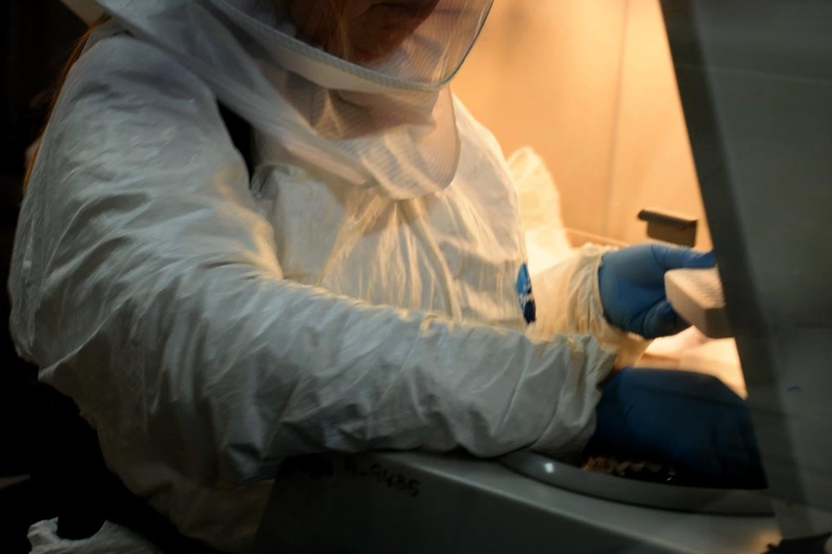 Coronavirus en Mar del Plata: confirman 56 casos nuevos y otra muerte