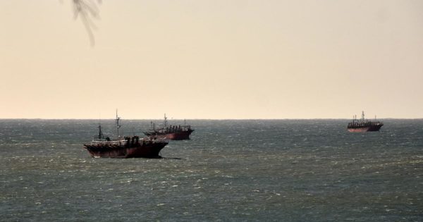 Preocupación en la pesca en Mar del Plata por una “relajación” de los protocolos
