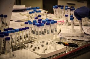 Coronavirus en Mar del Plata: confirman 325 nuevos casos y oficializan 6 muertes