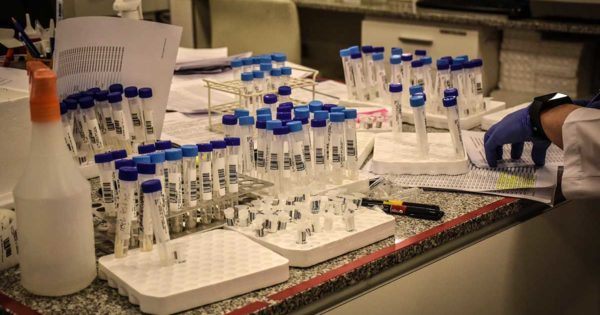 Coronavirus: con 431 nuevos casos, Mar del Plata supera los 4 mil activos