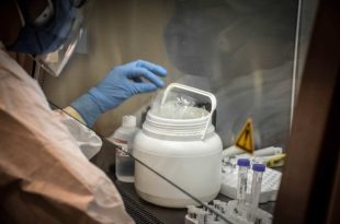 Coronavirus: la Provincia prohíbe la venta en farmacias de los tests rápidos