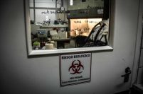 Coronavirus en Mar del Plata: confirman 231 nuevos casos y 310 pacientes recuperados 