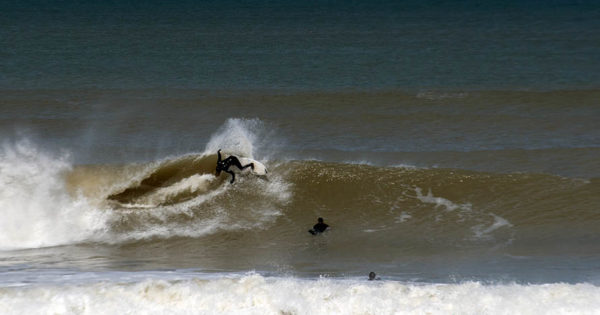 Surf: el Circuito Argentino Junior tuvo los primeros ganadores en el formato virtual