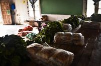 Denuncian que Montenegro corta el aporte de alimentos a los comités barriales