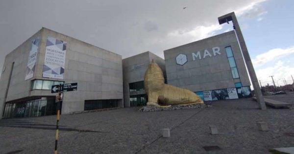 El Museo MAR estrena un nuevo ciclo dedicado a Philip Glass