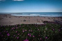 Tras meses frenados, avanzan los pliegos para licitar seis playas del norte