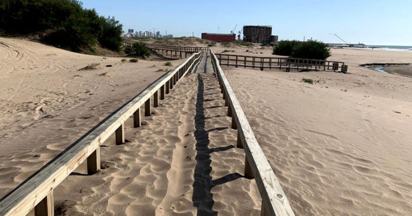 acortar notificación Múltiple Playas: el Consorcio llevará arena del Puerto al sector público de Playa  Grande - Noticias de Mar del Plata