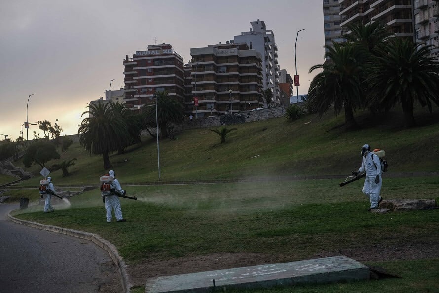 Calor y mosquitos en Mar del Plata: fumigaciones y un pedido de la oposición
