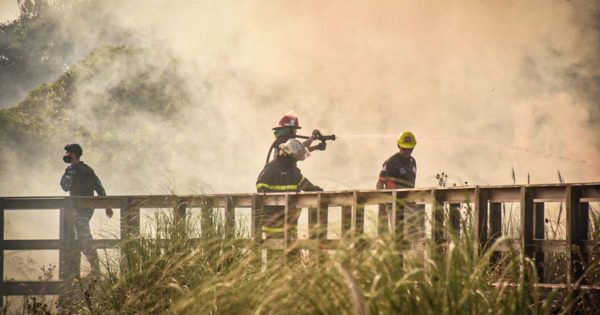 Un incendio afectó a la Reserva Natural del Puerto de Mar del Plata