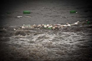 Un censo de la basura en la costa bonaerense: el 70% de los residuos son plásticos