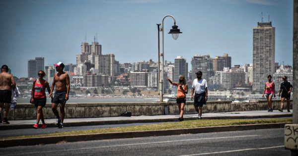 Días de sol y altas temperaturas: ¿qué dice el pronóstico para Mar del Plata?