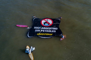 Buscan que el Concejo se exprese sobre la exploración sísmica en Mar del Plata