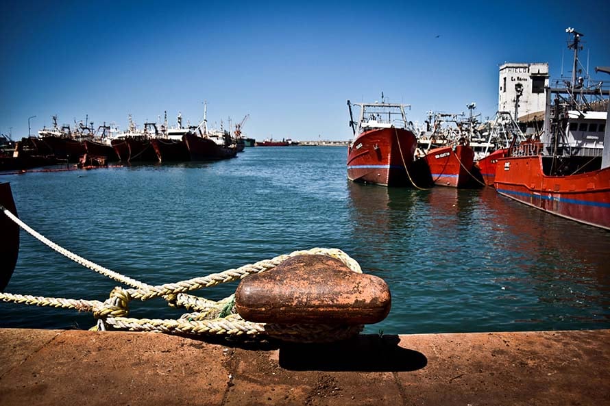 Puerto: se mantiene paralizada la flota de pesca de vieira