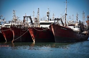 Puerto: vuelve a paralizarse la flota congeladora langostinera de tres empresas