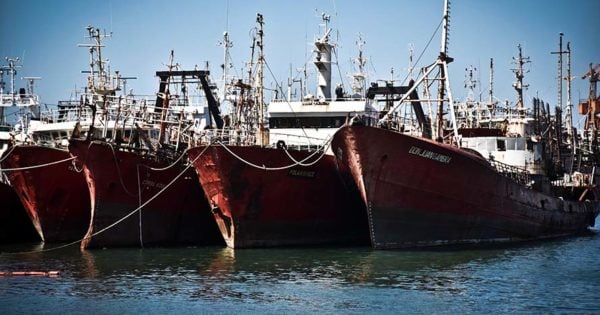 Puerto: falta de acuerdo salarial, audiencias y paro en la flota fresquera