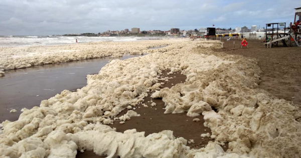 Espuma en las playas de Mar del Plata: los resultados de los estudios del Inidep