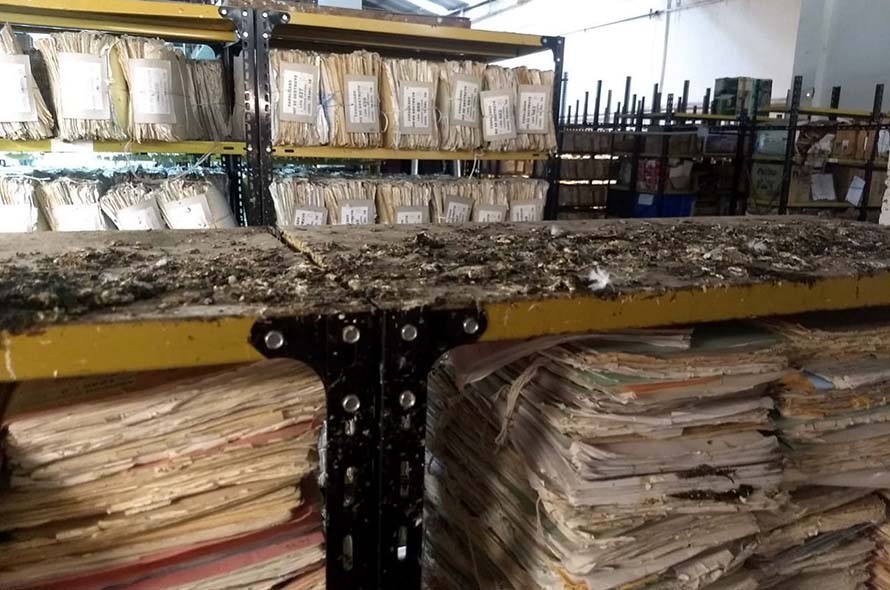 Un archivo judicial lleno de ratas y palomas: reclaman inspecciones y medidas