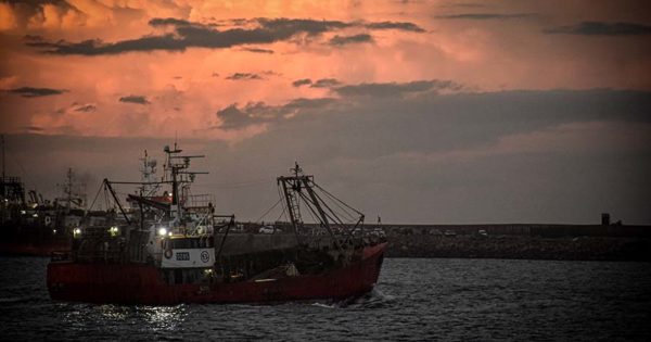 El SOMU reclama mejoras salariales e inició un paro en el puerto de Mar del Plata