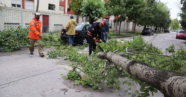 Sigue el alerta: lluvia, fuerte viento, árboles caídos y cortes de luz en Mar del Plata