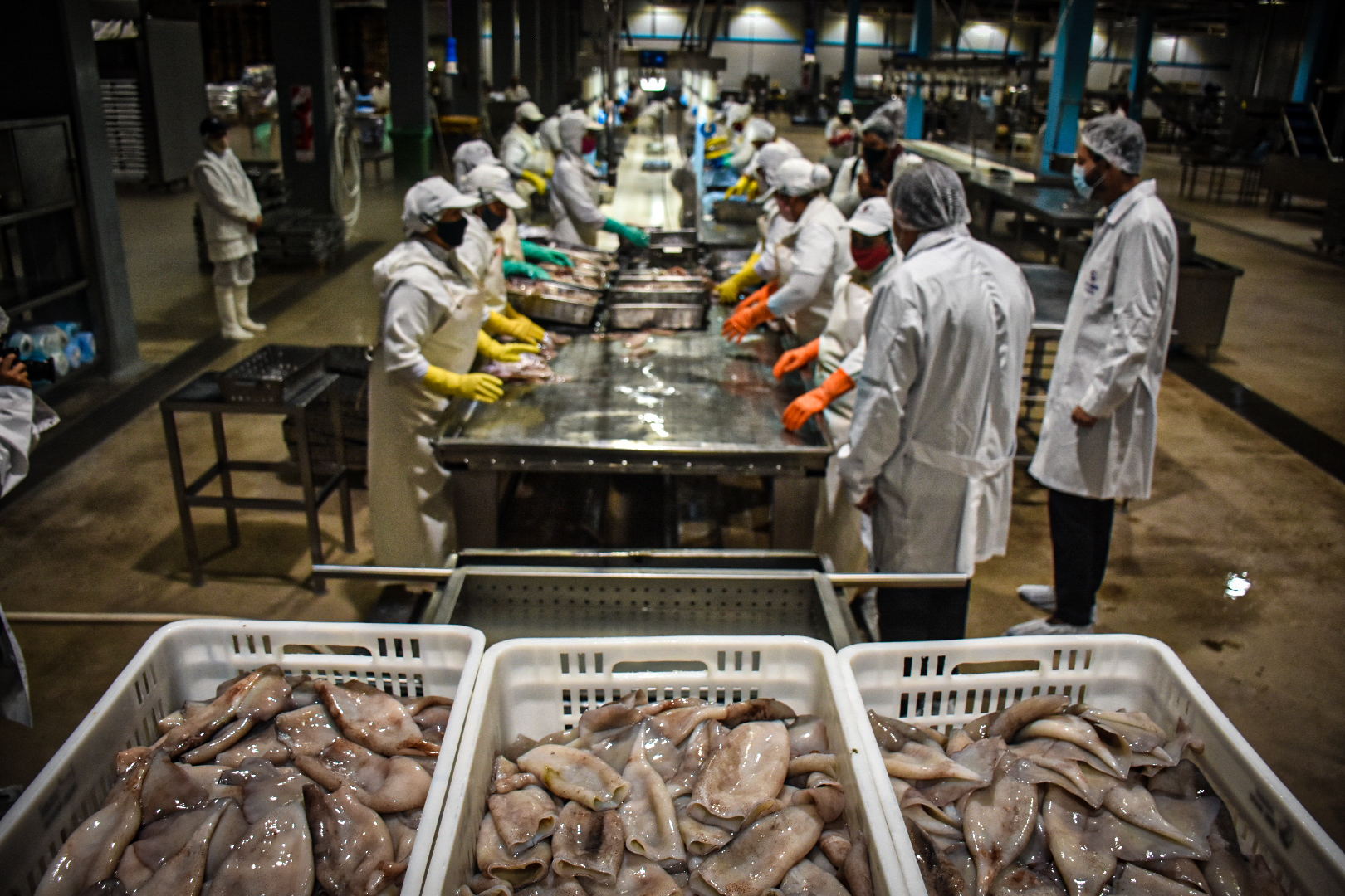 Las ventas provinciales de pescado a Brasil aumentaron un 59% en el primer semestre