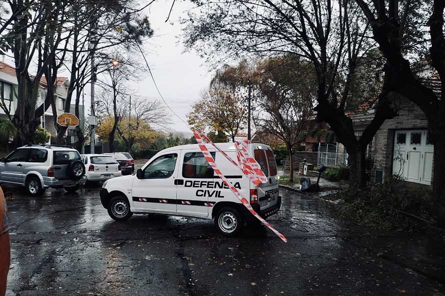 Árboles caídos y voladuras, las consecuencias del temporal de lluvia y viento en Mar del Plata
