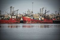 Puerto: Capitanes de Pesca también acordó un 45% de suba en la flota fresquera