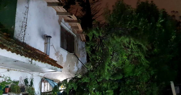 Temporal: cayó un árbol sobre una casa y provocó un escape de gas