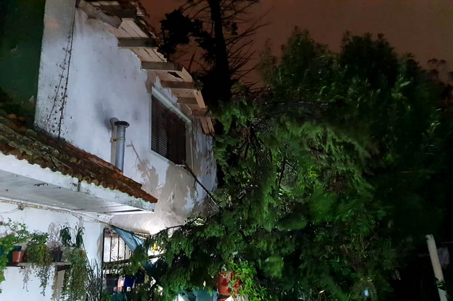 Temporal: cayó un árbol sobre una casa y provocó un escape de gas