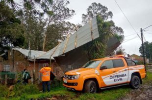 Temporal en Mar del Plata: techos volados, árboles caídos y una familia evacuada