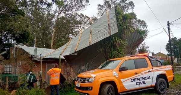 Temporal en Mar del Plata: techos volados, árboles caídos y una familia evacuada