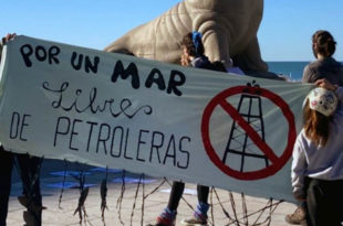 Petroleras en Mar del Plata: asambleístas y empresarios, a la Defensoría del Pueblo